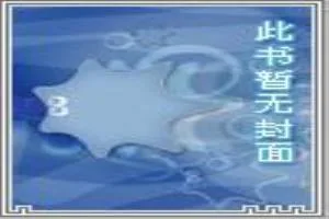 《死神挽歌》小说封面