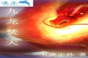 《九龙焚天》小说封面