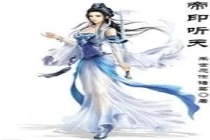 《帝印听天》小说封面
