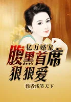 《亿万婚宠：腹黑首席狠狠爱》小说封面