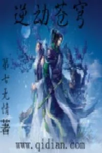 《逆动苍穹》小说封面
