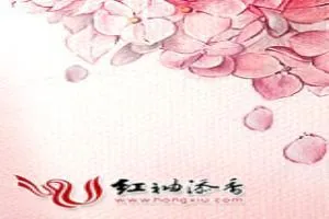 《青春支离破碎》小说封面