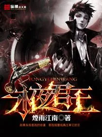 《永夜君王》小说封面