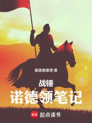 《战锤:诺德领笔记》小说封面