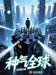 《种气全球》小说封面