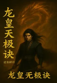 《龙皇无极决》小说封面