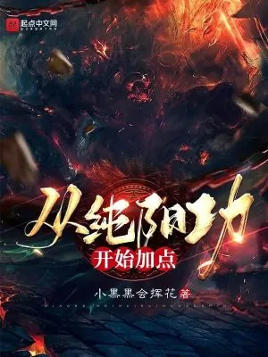 《从纯阳功开始加点》小说封面