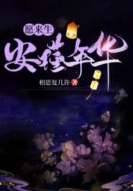 《愿来生安瑾年华》小说封面
