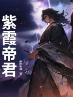 《紫霞帝君》小说封面