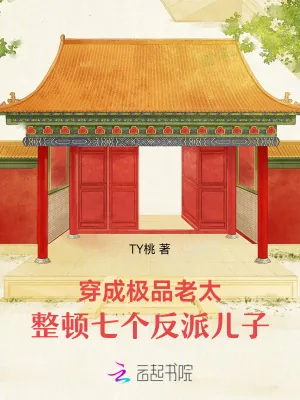 《穿成极品老太,整顿七个反派儿子》小说封面
