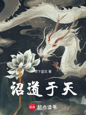 《诏道于天》小说封面