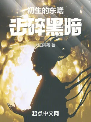 《初生的东曦,击碎黑暗!》小说封面