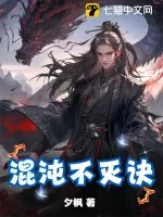《混沌不灭诀》小说封面