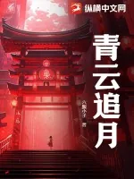《青云追月》小说封面