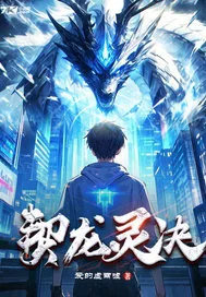 《契龙灵决》小说封面