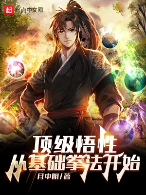 《顶级悟性:从基础拳法开始》小说封面