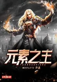 《元素之主》小说封面