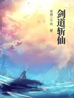 《剑道斩仙》小说封面