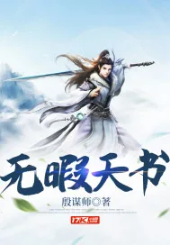 《无暇天书》小说封面