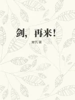 《剑,再来!》小说封面