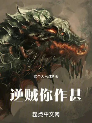 《逆贼你作甚》小说封面