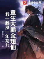 《重生大鹏金翅仙，我一秒涨一年功力》小说封面