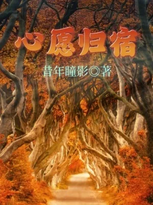 《心愿归宿》小说封面