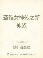 《圣雅女神传之新神族》小说封面
