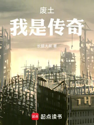《废土:我是传奇》小说封面