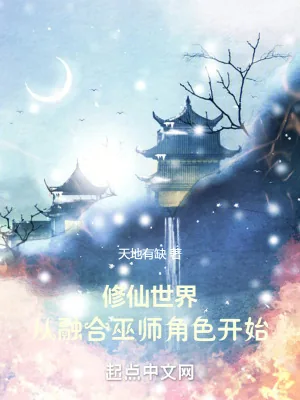 《修仙世界：从融合巫师角色开始》小说封面