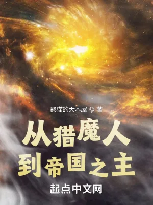 《从猎魔人到帝国之主》小说封面