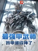 《最强甲武师，我甲道成神了》小说封面