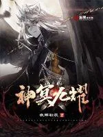 《神冥九耀》小说封面