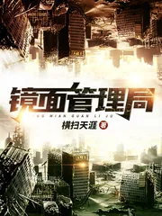 《镜面管理局》小说封面