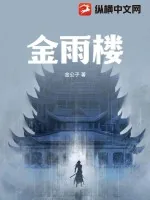 《金雨楼》小说封面