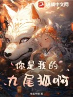 《你是我的九尾狐啊》小说封面