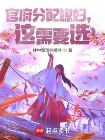 《官府分配媳妇，这需要选？》小说封面