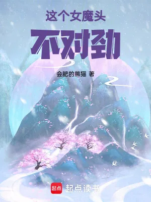 《这个女魔头，不对劲》小说封面