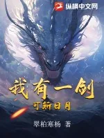 《我有一剑,可斩日月》小说封面