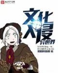 《文化入侵异世界》小说封面