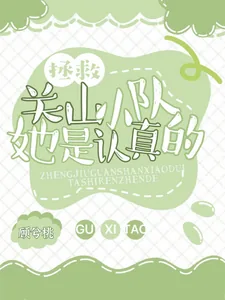 《拯救关山小队,她是认真的》小说封面