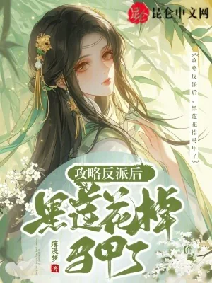 《攻略反派后，黑莲花掉马甲了》小说封面