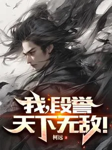 《我，段誉，天下无敌！》小说封面