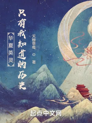 《英灵召唤:只有我知道的历史》小说封面