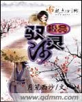 《极品驭灵师》小说封面