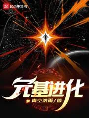 《元基进化》小说封面