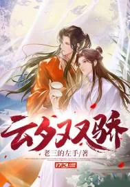 《云夕双骄》小说封面