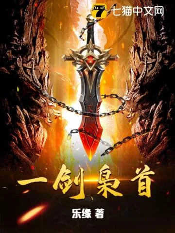 《一剑枭首》小说封面
