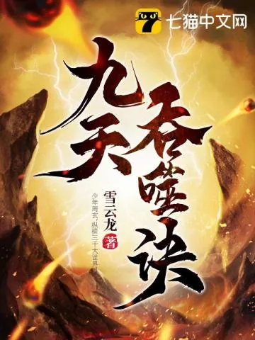 《九天吞噬诀》小说封面
