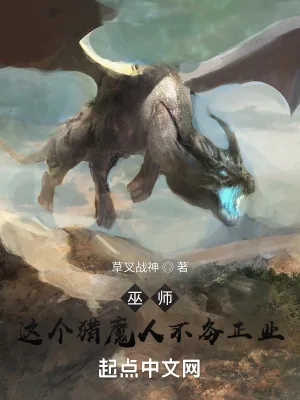 《巫师：这个猎魔人不务正业》小说封面